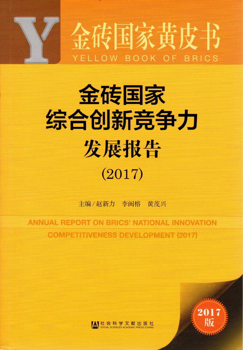 男人把鸡巴放在美女的视频金砖国家综合创新竞争力发展报告（2017）